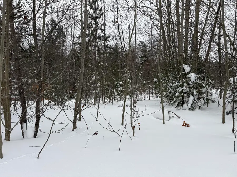 V/L 5 AC Little Lane Ne, Kalkaska, MI 49646 - Image #3