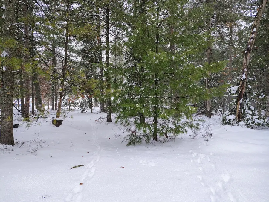 Lot 167 Deer Run Boulevard, Prudenville, MI 48651 - Image #3