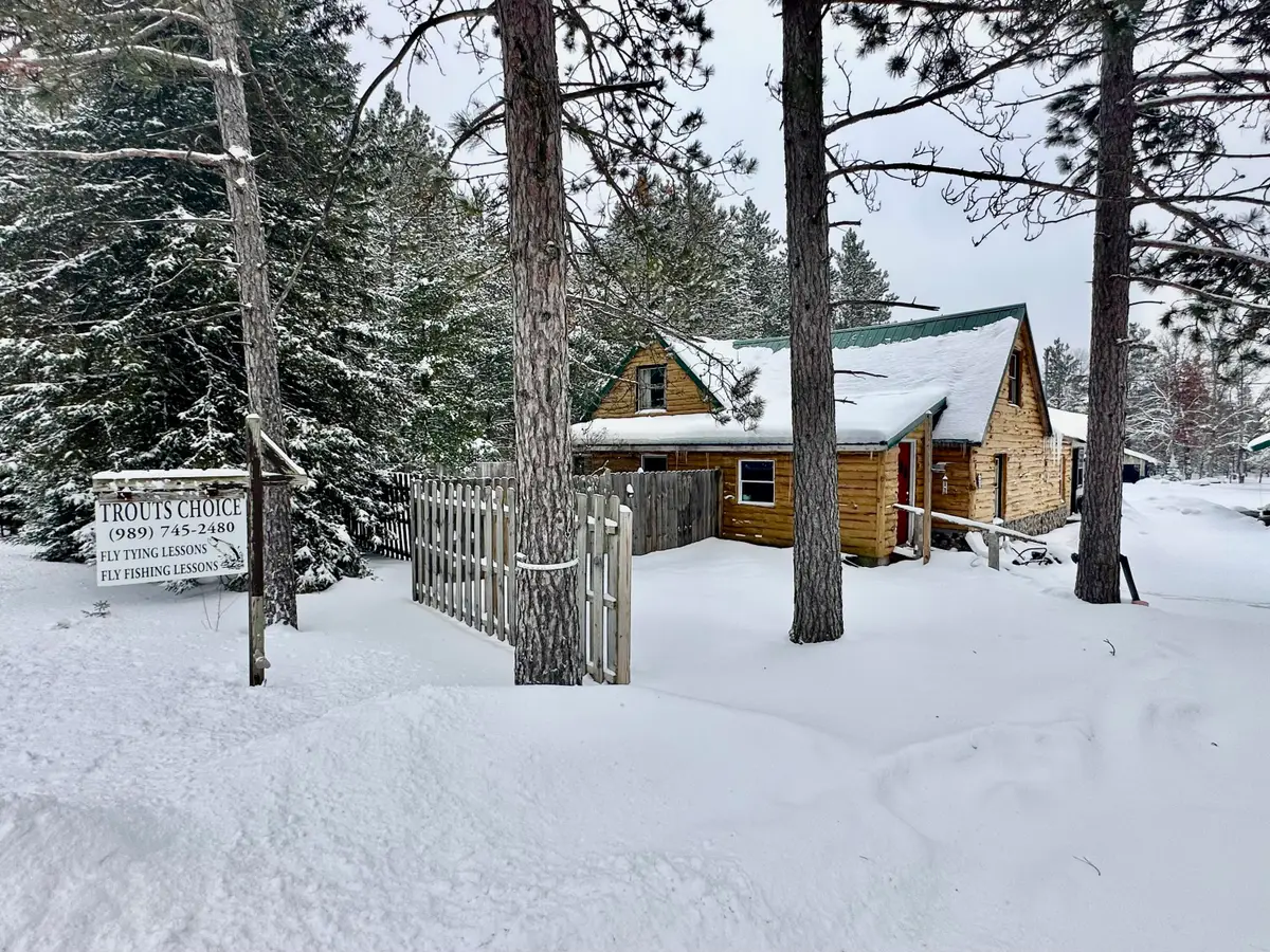 1460 E North Down River Road, Grayling, MI 49738 - Image #1