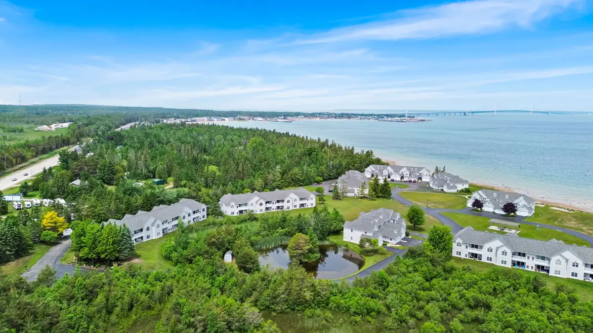 20546 Northern Lights Lane, Mackinaw City, MI 49701 - #1