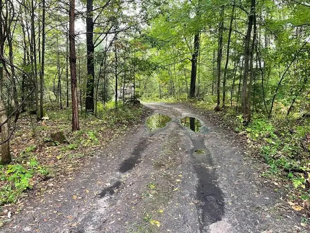 11536 N Central Drive, Roscommon, MI 48653 - Image #3