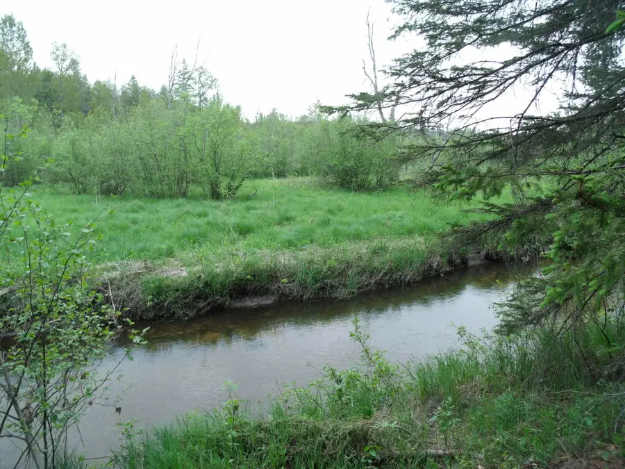 V/L 20.75A Spikehorn Trail, Indian River, MI 49749 - Image #3