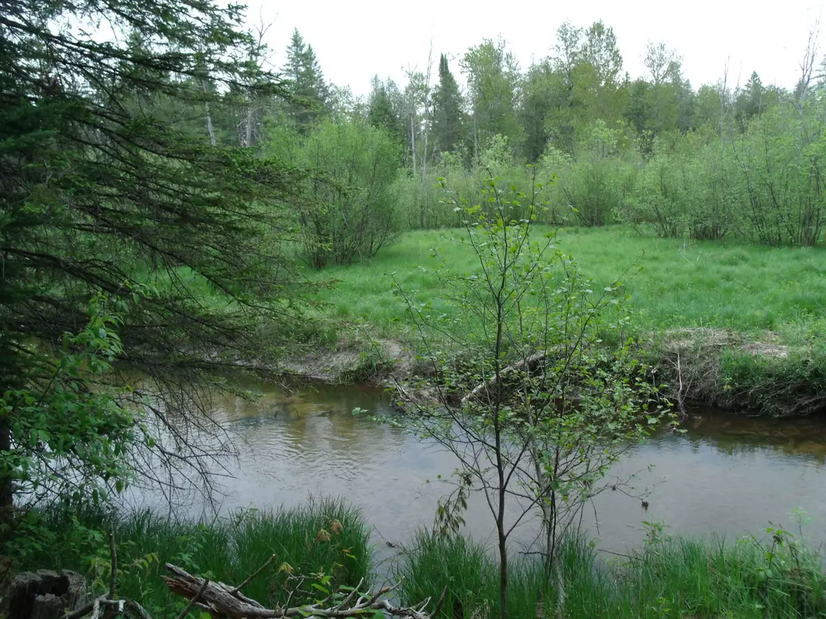 V/L 30 AC Spikehorn Trail, Indian River, MI 49749 - Image #1