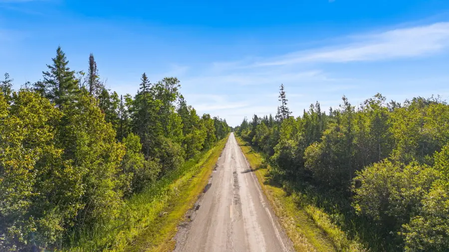 V/L 38.46A E Gill Road, Carp Lake, MI 49718 - #2