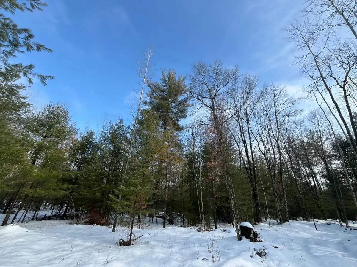 1556 W 8th Street, Prescott, MI 48756 - Image #1