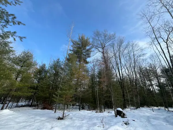 1556 W 8th Street, Prescott, MI 48756