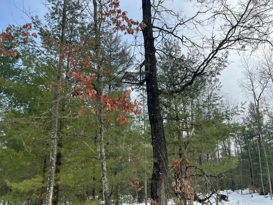 1556 W 8th Street, Prescott, MI 48756 - Image #3