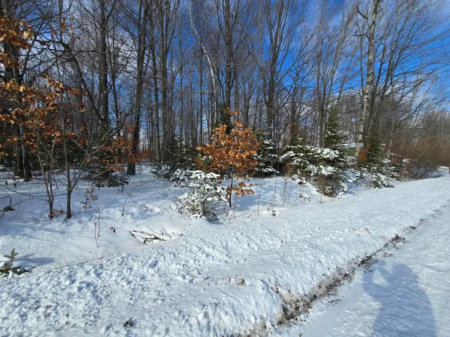 V/L 0.28AC N Everett Road, Roscommon, MI 48653 - Image #3