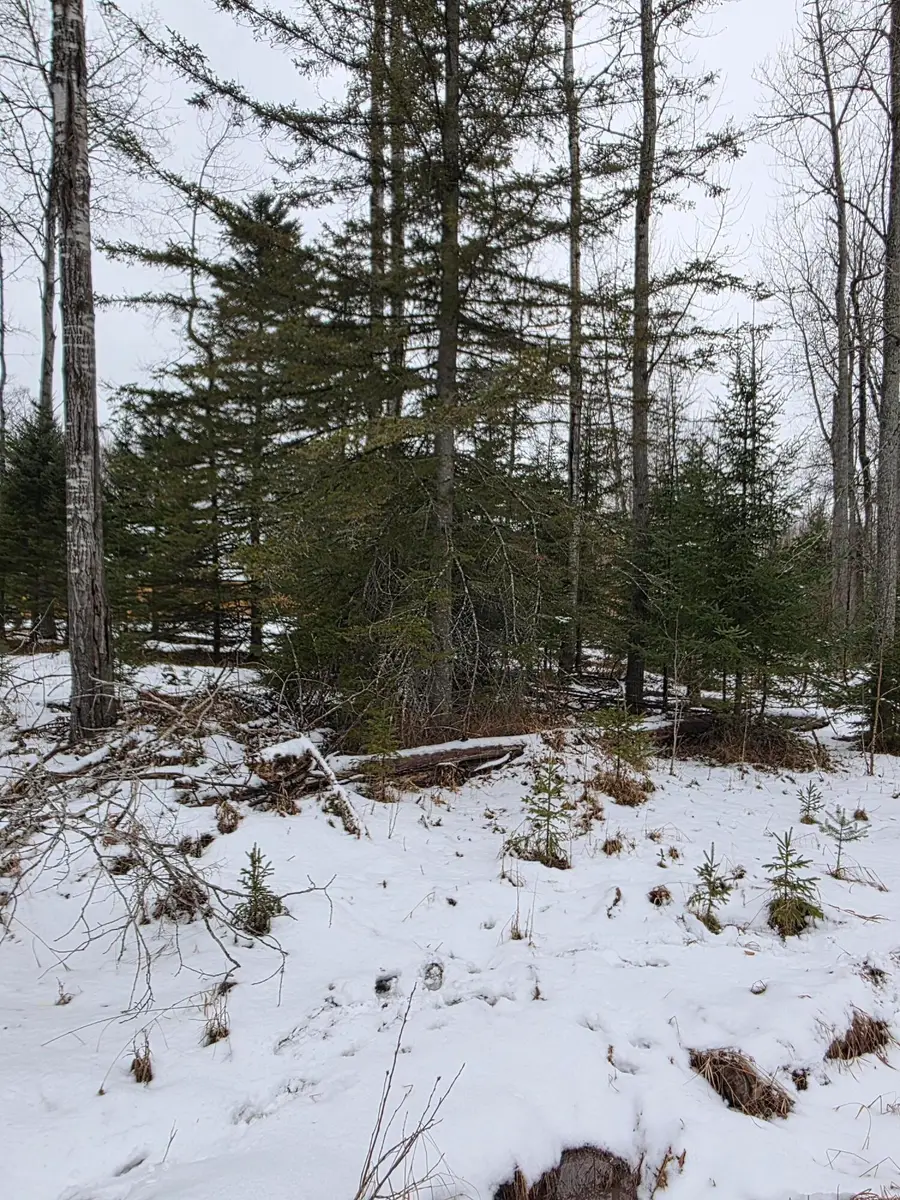 V/L Lot 17 N Hazel Road, Lincoln, MI 48742 - Image #3