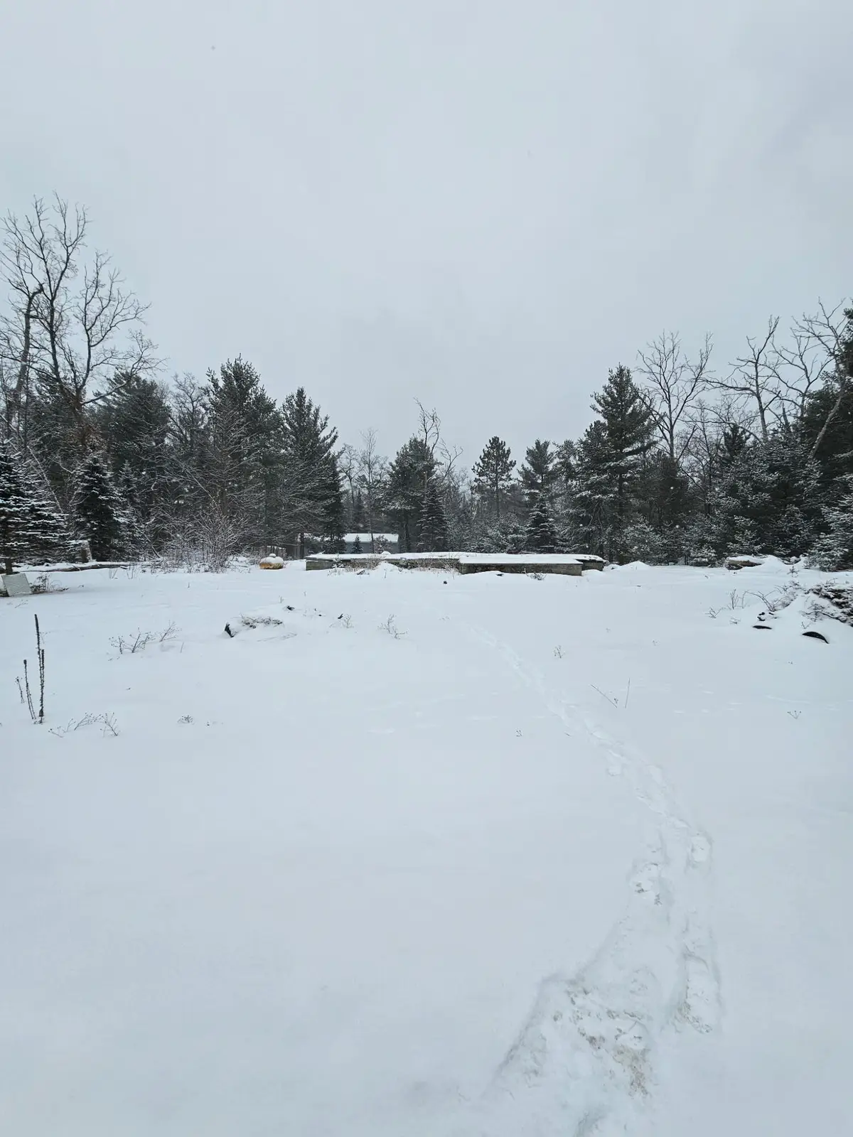 111 Gazelle Drive, Prudenville, MI 48651 - Image #1