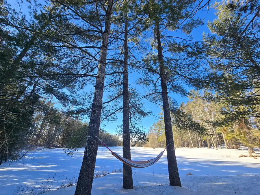 1927 Knepp Road, Fairview, MI 48621 - Image #2