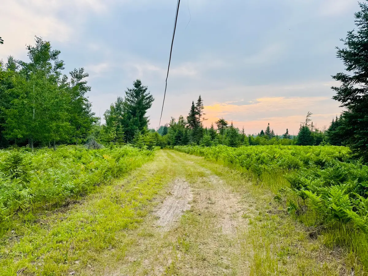 6378 Macey Lane, Alpena, MI 49707 - Image #1