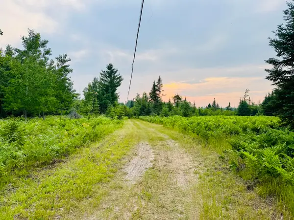 6378 Macey Lane, Alpena, MI 49707