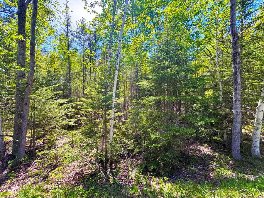 Lot 118 Timberway Drive, Presque Isle, MI 49777 - #3