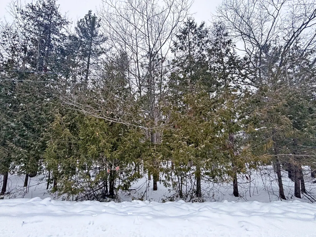 Lot 201 Lakewood Drive, Presque Isle, MI 49777 - #1