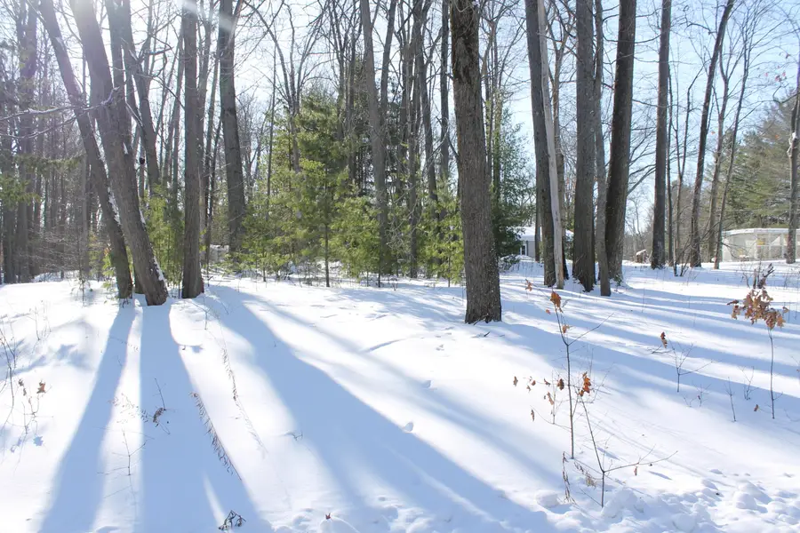 206 Middle Drive, Prudenville, MI 48651 - Image #3