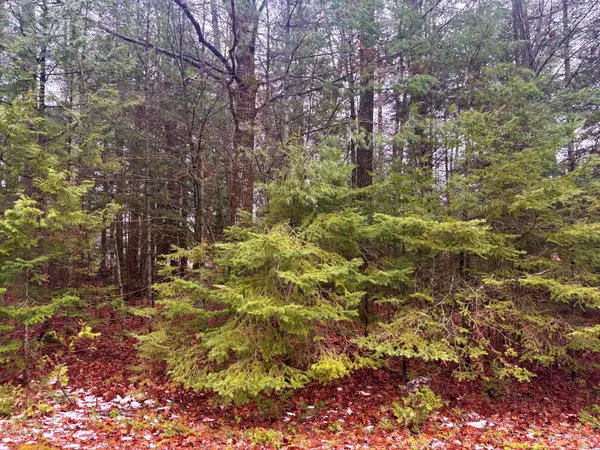 Lot 62-63 Belfair Drive, Presque Isle, MI 49777