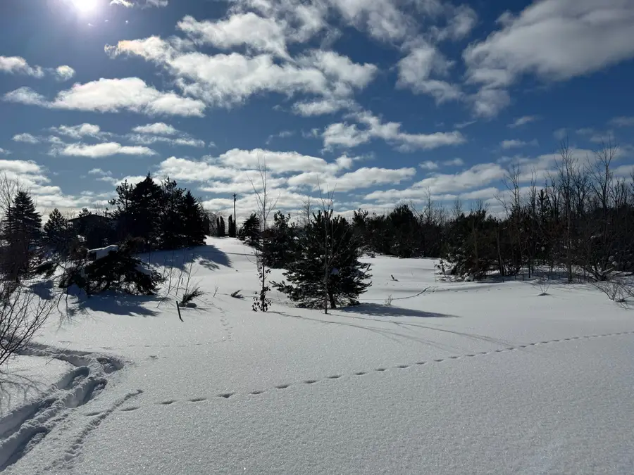 V/L 2.80 A Morgan Road, Gaylord, MI 49735 - #3