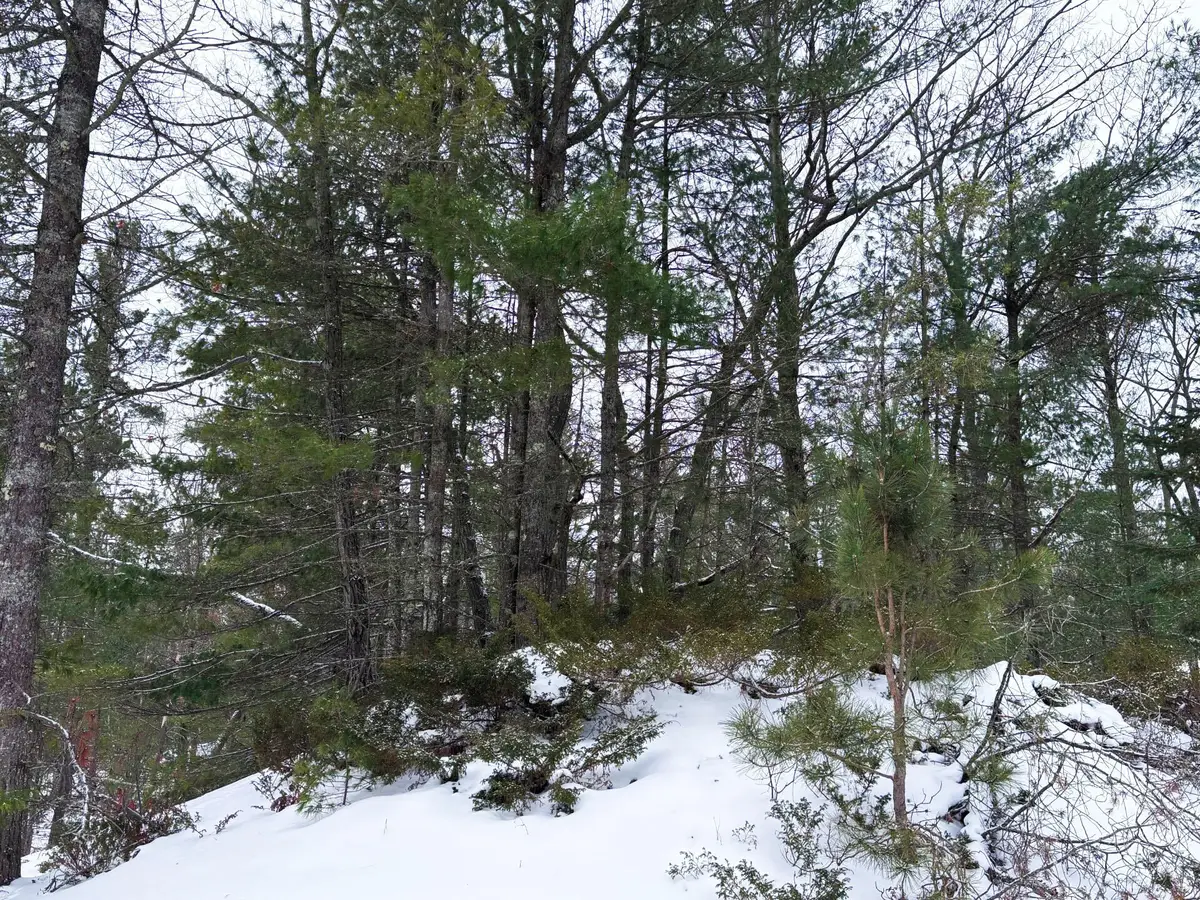 Lots 1-5 Larch Road, Rogers City, MI 49779 - Image #1