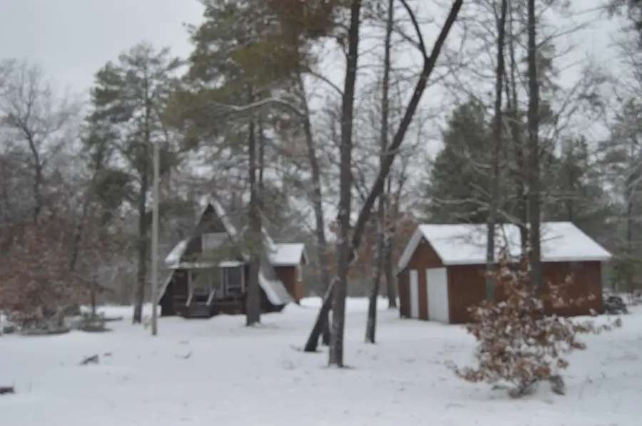 3119 Northeast Trail, Grayling, MI 49738 - Image #2