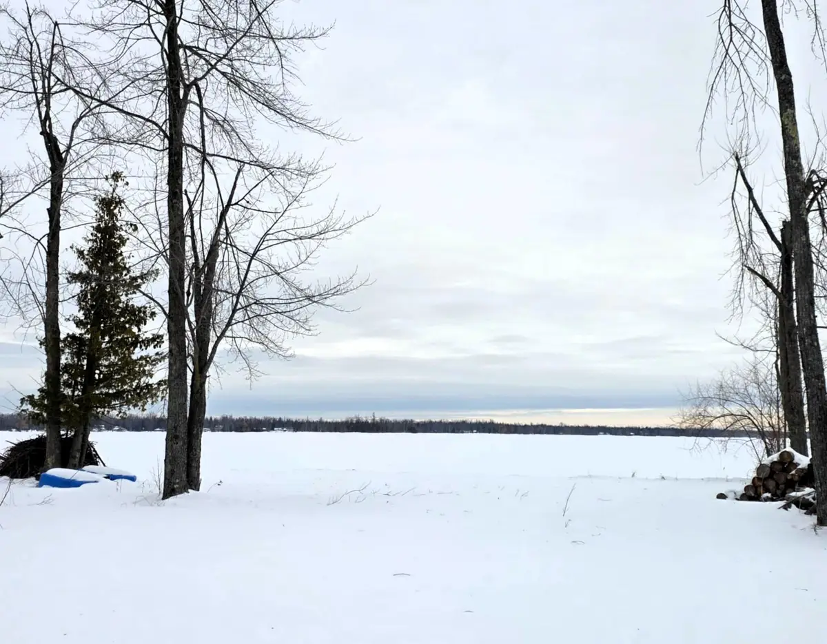 13491 Eltony Lane, Posen, MI 49776 - #1