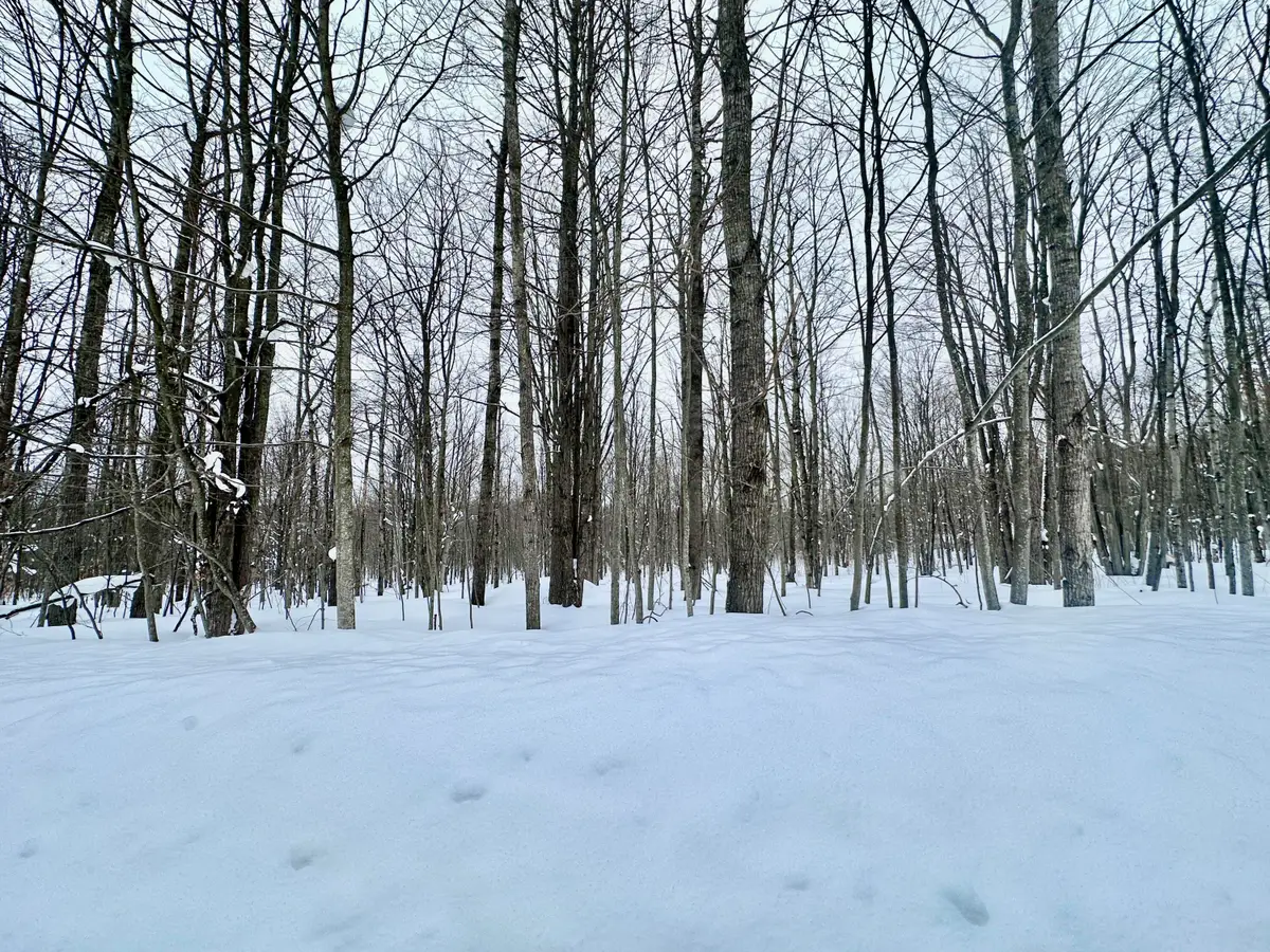 Lot 472 Maplewood Circle, Elmira, MI 49730 - #1