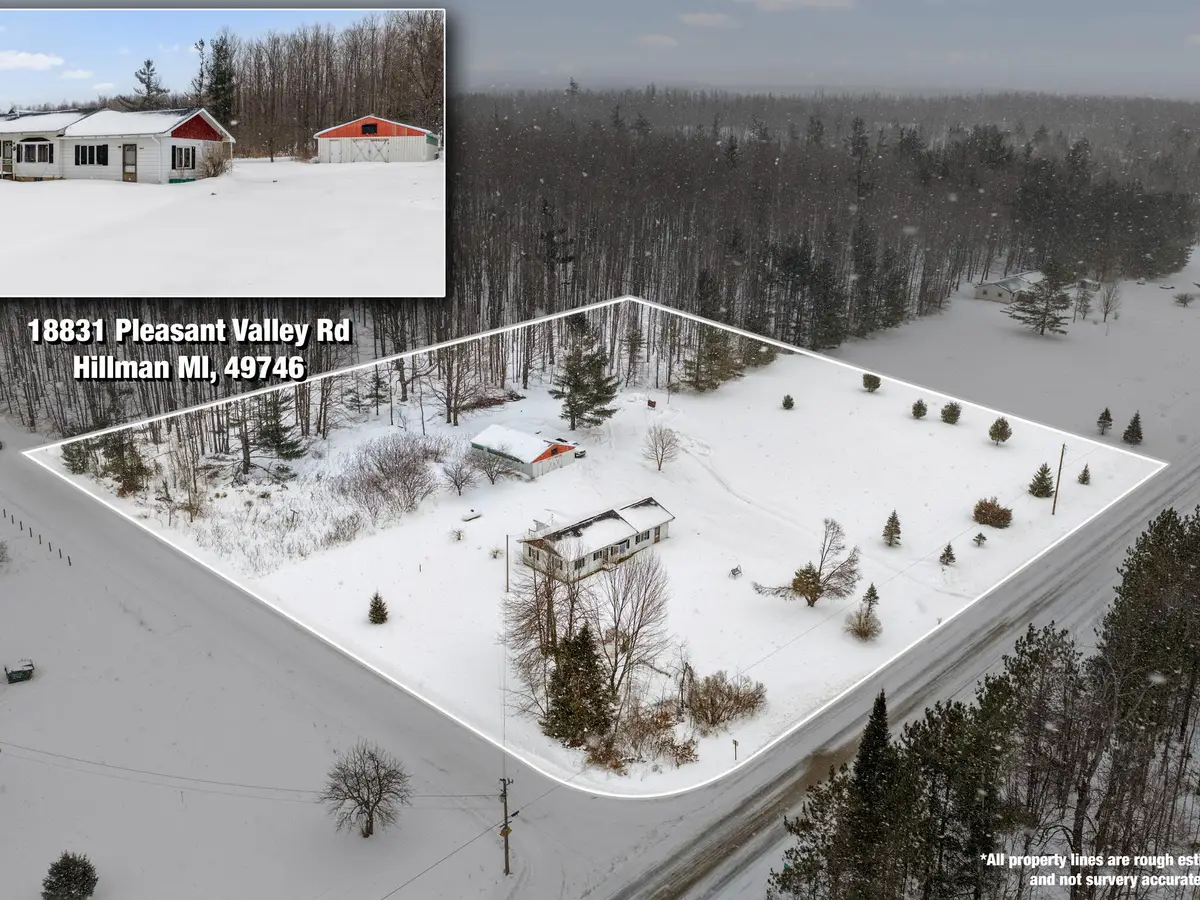 18831 Pleasant Valley Road, Atlanta, MI 49709 - #1