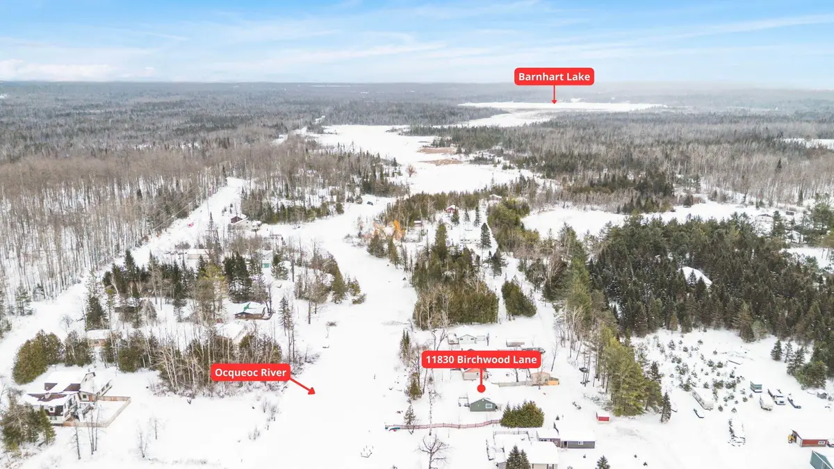 11830 Birchwood Lane, Millersburg, MI 49759 - #1