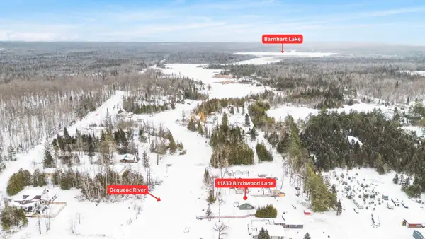 11830 Birchwood Lane, Millersburg, MI 49759