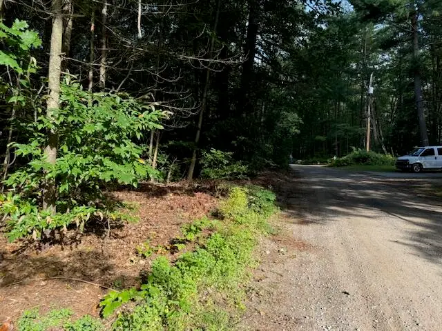 Lot 3 S Perch Lake Drive, Gaylord, MI 49735 - #3