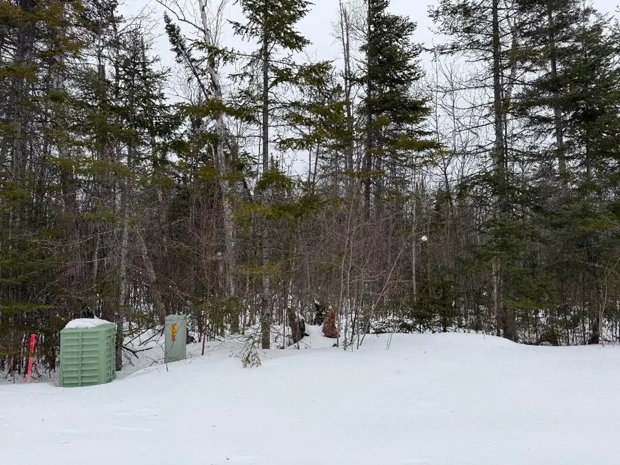 Lot 444 Kittywake Lane, Ocqueoc, MI 49759 - #3