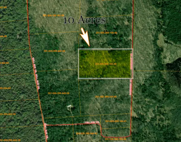 V/L N10 AC Barberry Drive, Wolverine, MI 49799