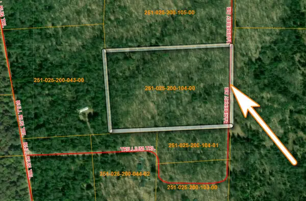 V/L S10AC Barberry Drive, Wolverine, MI 49799