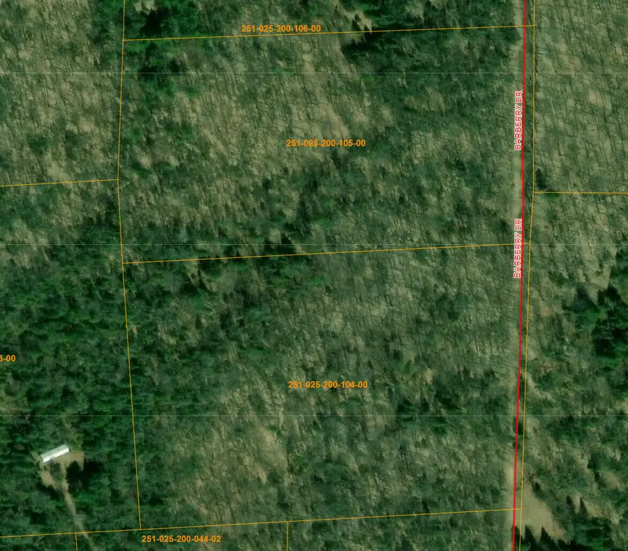 V/L S10AC Barberry Drive, Wolverine, MI 49799 - #2