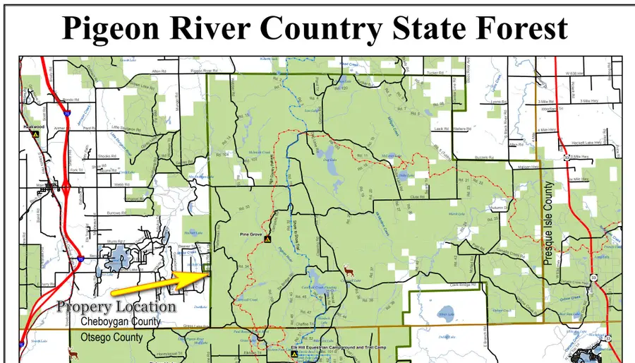 V/L S10AC Barberry Drive, Wolverine, MI 49799 - #3