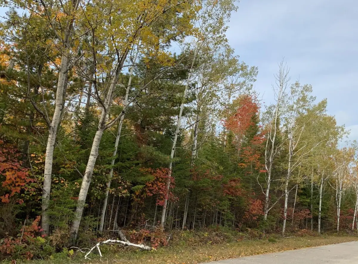 Lot 165 Wilderness Drive, Presque Isle, MI 49777 - #1