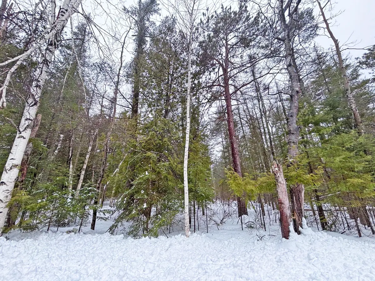 L 275-276 Lakehurst Drive, Presque Isle, MI 49777 - #1