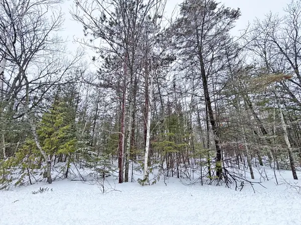Lot 148 Pineview Drive, Presque Isle, MI 49777