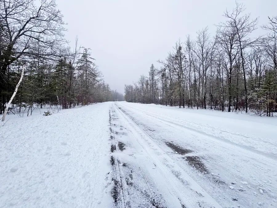 Lot 148 Pineview Drive, Presque Isle, MI 49777 - #3