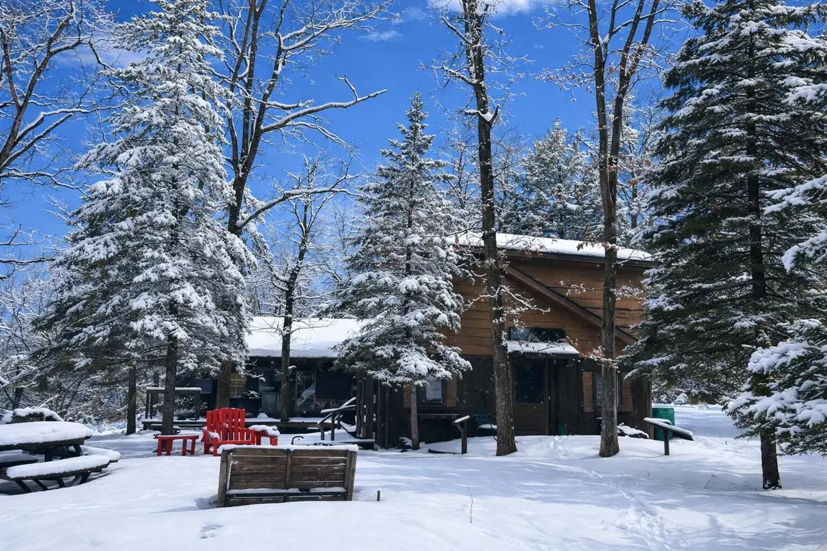 8119 Wolverine Trail, Atlanta, MI 49709 - #1