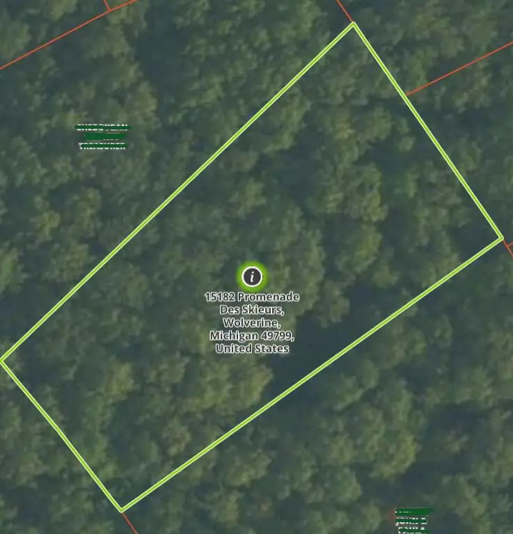15182 Promenade Des Skieurs, Wolverine, MI 49799 - #1
