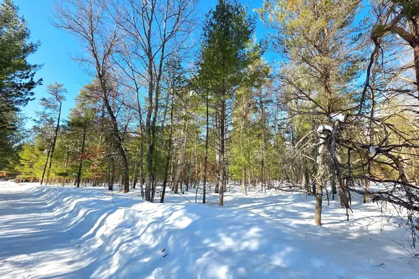 VL 20-29 Monroe Avenue, Grayling, MI 49738