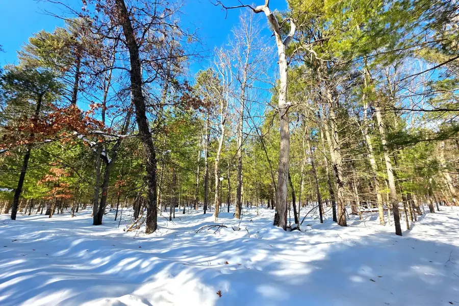 VL 20-29 Monroe Avenue, Grayling, MI 49738 - #3