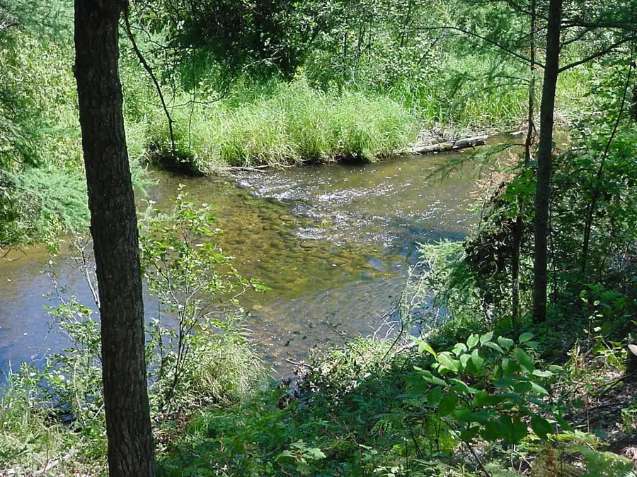 Parcel 1 Thundermug Road, Grayling, MI 49738 - #3