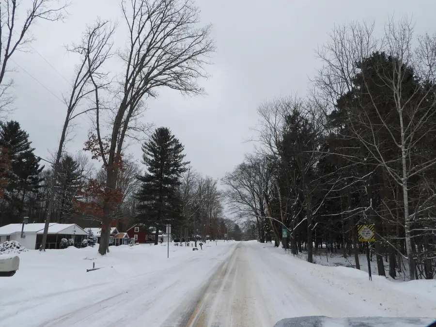 7861 N Bass Lake Road, Irons, MI 49644 - #3