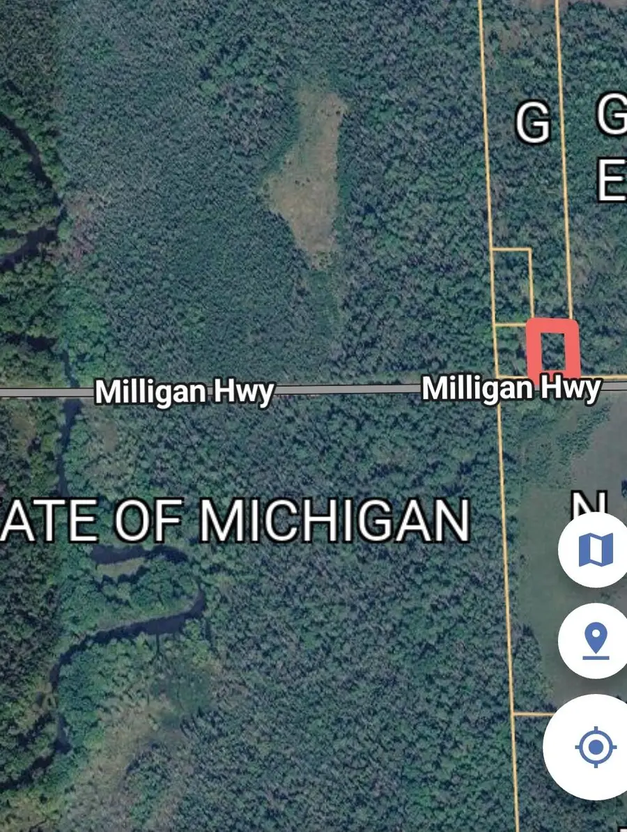 21454 Milligan Highway, Onaway, MI 49765 - #2