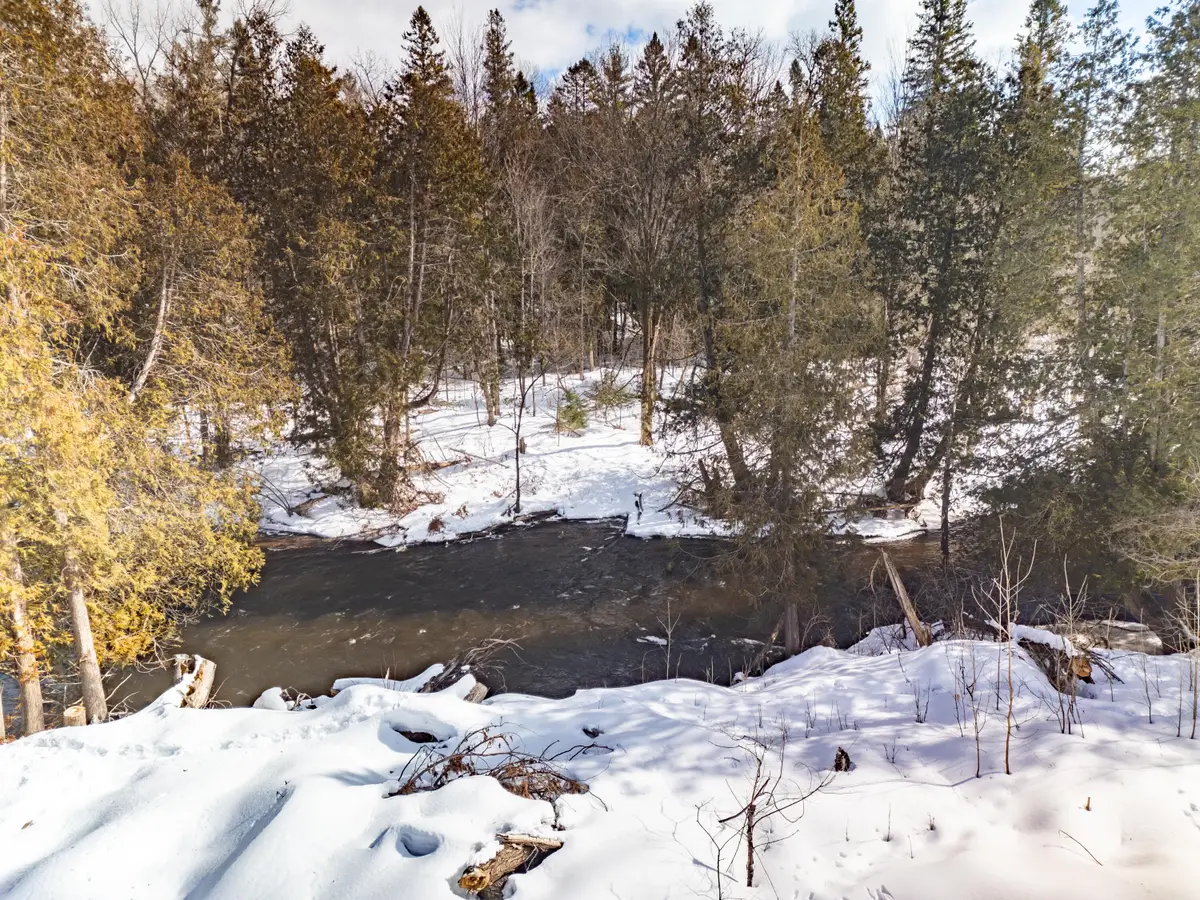 8993 S Straits Highway, Wolverine, MI 49799 - #1