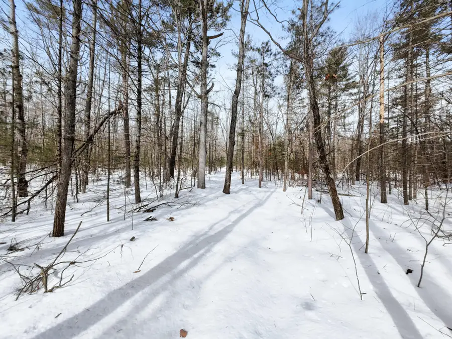 6.0 AC Ranch Road, Topinabee, MI 49791 - #3