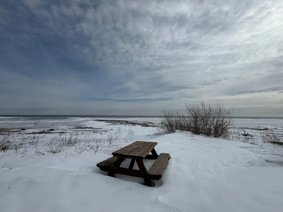 3725 E Cedar Drive, Black River, MI 48721 - #3