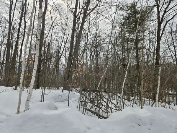 Lot 63 Sugarbush Drive, Gaylord, MI 49735